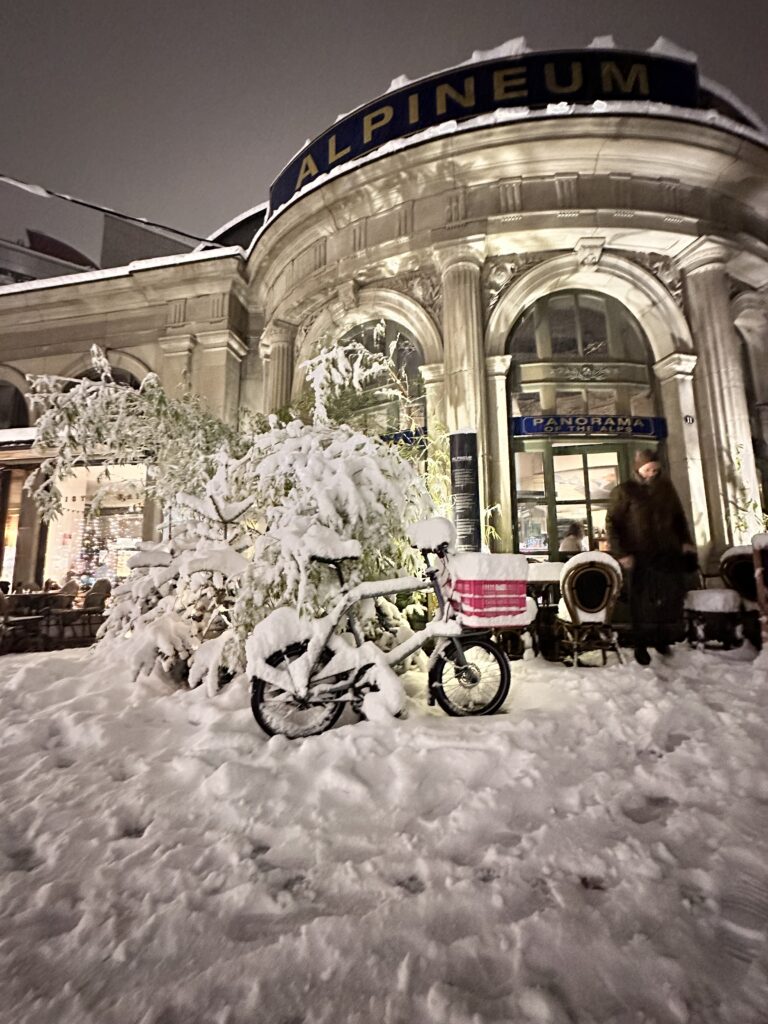 Weihnachten ALPINEUM